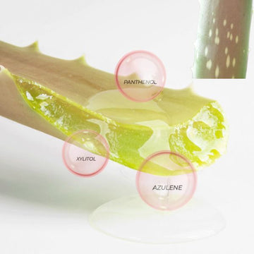 [BRING GREEN] Pink Aloe 96% Soothing Gel 300ml