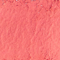  D2 Touch Coral