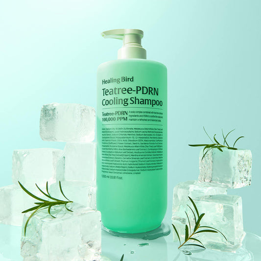 healing-bird-teatree-pdrn-cooling-shampoo-500ml-1000ml-02