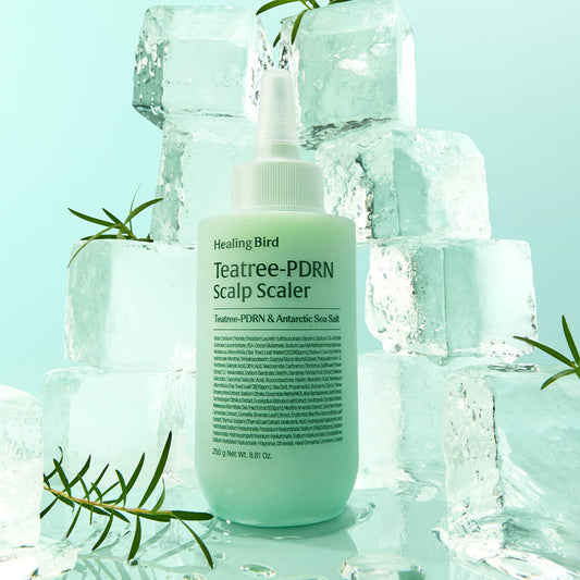 healing-bird-teatree-pdrn-scalp-scaler-250g-02